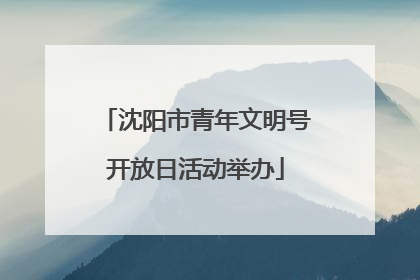 沈阳市青年文明号开放日活动举办