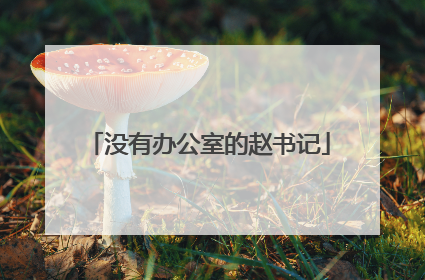 没有办公室的赵书记
