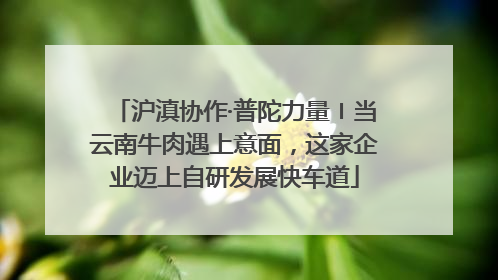 沪滇协作·普陀力量〡当云南牛肉遇上意面，这家企业迈上自研发展快车道