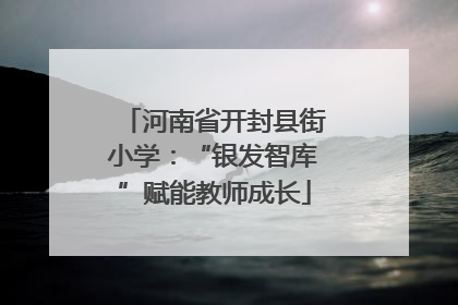 河南省开封县街小学：“银发智库”赋能教师成长