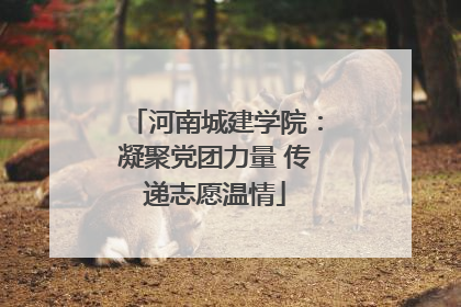 河南城建学院：凝聚党团力量 传递志愿温情