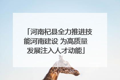 河南杞县全力推进技能河南建设 为高质量发展注入人才动能