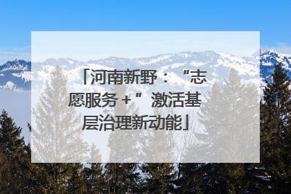 河南新野：“志愿服务＋”激活基层治理新动能