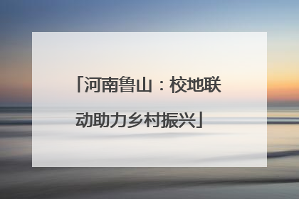 河南鲁山：校地联动助力乡村振兴
