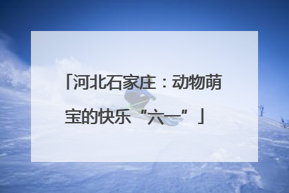 河北石家庄：动物萌宝的快乐“六一”