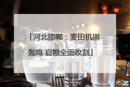 河北邯郸：麦田机器轰鸣 夏粮全面收割
