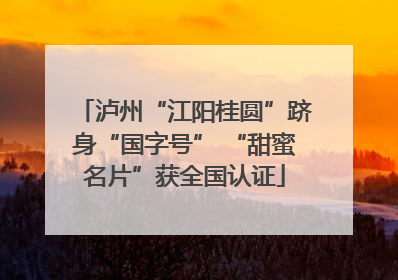 泸州“江阳桂圆”跻身“国字号” “甜蜜名片”获全国认证