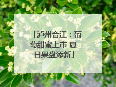 泸州合江：葡萄甜蜜上市 夏日果盘添新
