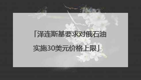 泽连斯基要求对俄石油实施30美元价格上限