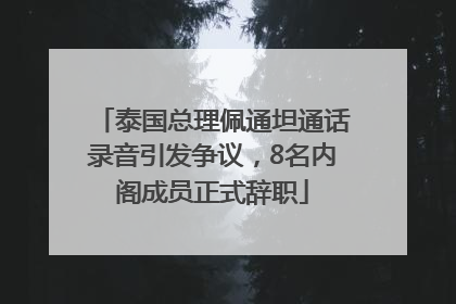 泰国总理佩通坦通话录音引发争议，8名内阁成员正式辞职