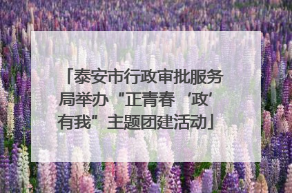 泰安市行政审批服务局举办“正青春‘政’有我”主题团建活动