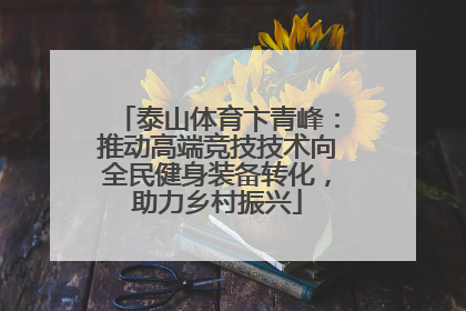 泰山体育卞青峰：推动高端竞技技术向全民健身装备转化，助力乡村振兴