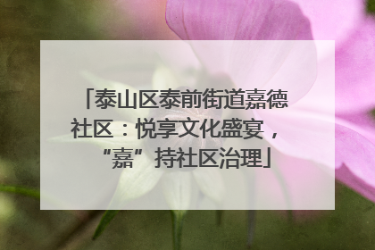 泰山区泰前街道嘉德社区：悦享文化盛宴，“嘉”持社区治理