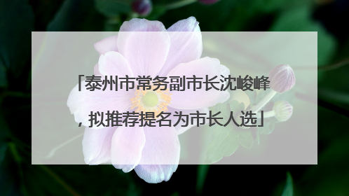 泰州市常务副市长沈峻峰，拟推荐提名为市长人选