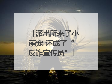 派出所来了小萌宠 还成了“反诈宣传员”