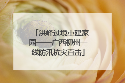 洪峰过境重建家园——广西柳州一线防汛抗灾直击