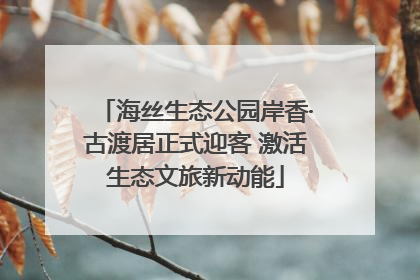 海丝生态公园岸香·古渡居正式迎客 激活生态文旅新动能