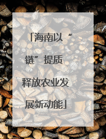 海南以“链”提质 释放农业发展新动能