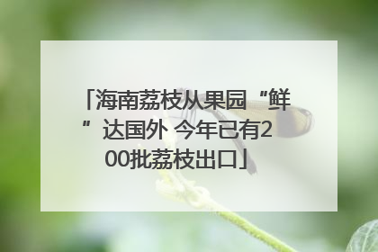 海南荔枝从果园“鲜”达国外 今年已有200批荔枝出口