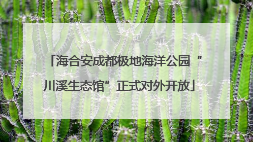 海合安成都极地海洋公园“川溪生态馆”正式对外开放