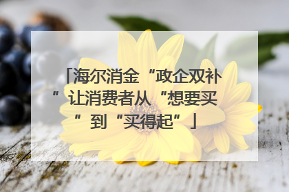 海尔消金“政企双补”让消费者从“想要买”到“买得起”