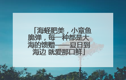 海蛏肥美，小章鱼脆弹，每一种都是大海的馈赠——夏日到海边 就爱那口鲜