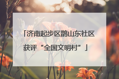 济南起步区鹊山东社区获评“全国文明村”