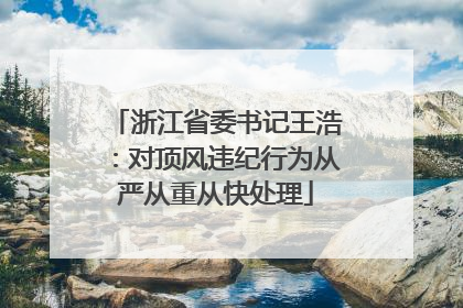 浙江省委书记王浩：对顶风违纪行为从严从重从快处理