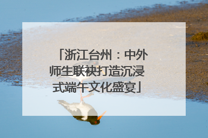 浙江台州：中外师生联袂打造沉浸式端午文化盛宴