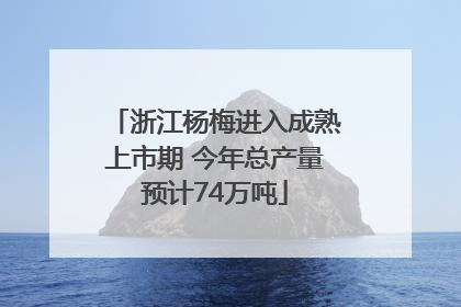 浙江杨梅进入成熟上市期 今年总产量预计74万吨