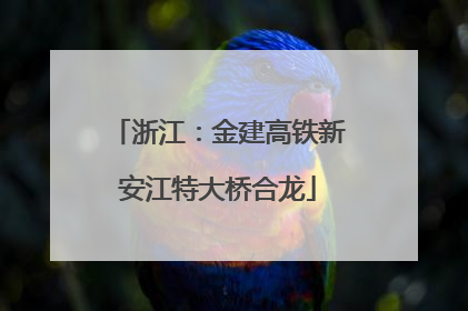 浙江：金建高铁新安江特大桥合龙