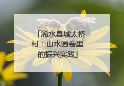 浠水县城太桥村：山水画卷里的振兴实践