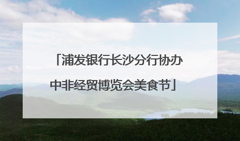 浦发银行长沙分行协办中非经贸博览会美食节