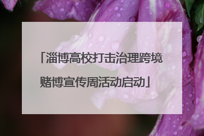 淄博高校打击治理跨境赌博宣传周活动启动