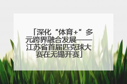 深化“体育+”多元跨界融合发展——江苏省首届匹克球大赛在无锡开赛