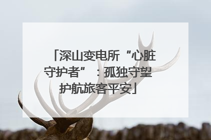 深山变电所“心脏守护者”：孤独守望护航旅客平安