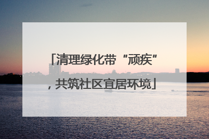 清理绿化带“顽疾”，共筑社区宜居环境