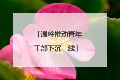 温岭推动青年干部下沉一线