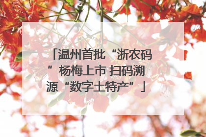 温州首批“浙农码”杨梅上市 扫码溯源“数字土特产”