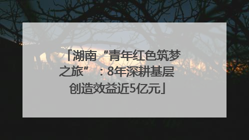 湖南“青年红色筑梦之旅”：8年深耕基层创造效益近5亿元