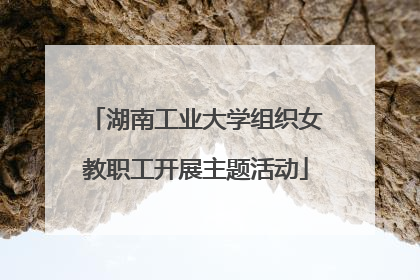 湖南工业大学组织女教职工开展主题活动