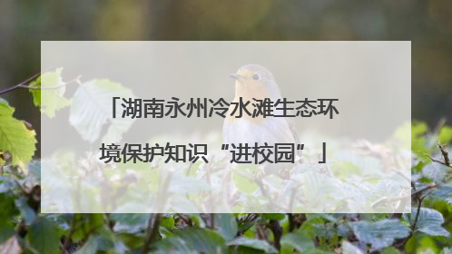 湖南永州冷水滩生态环境保护知识“进校园”