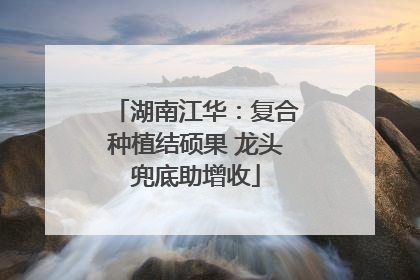 湖南江华：复合种植结硕果 龙头兜底助增收