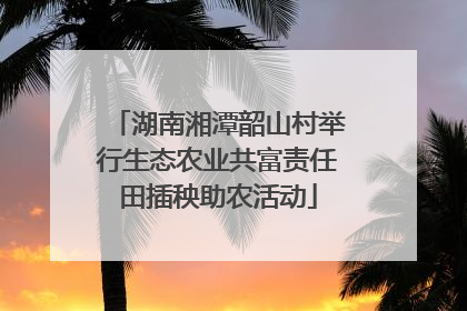 湖南湘潭韶山村举行生态农业共富责任田插秧助农活动