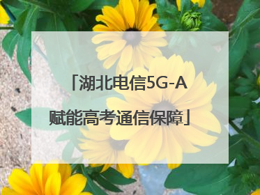 湖北电信5G-A赋能高考通信保障