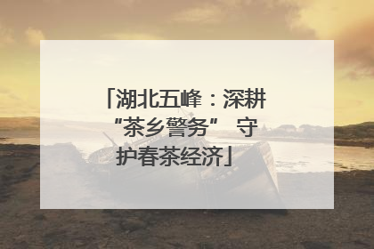 湖北五峰：深耕“茶乡警务” 守护春茶经济