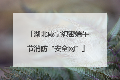 湖北咸宁织密端午节消防“安全网”
