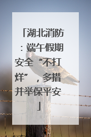 湖北消防：端午假期安全“不打烊”，多措并举保平安