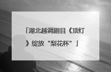 湖北越调剧目《顶灯》绽放“梨花杯”