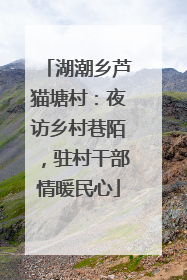 湖潮乡芦猫塘村：夜访乡村巷陌，驻村干部情暖民心